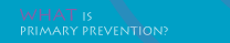 What is Primary Prevention?