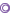bullet